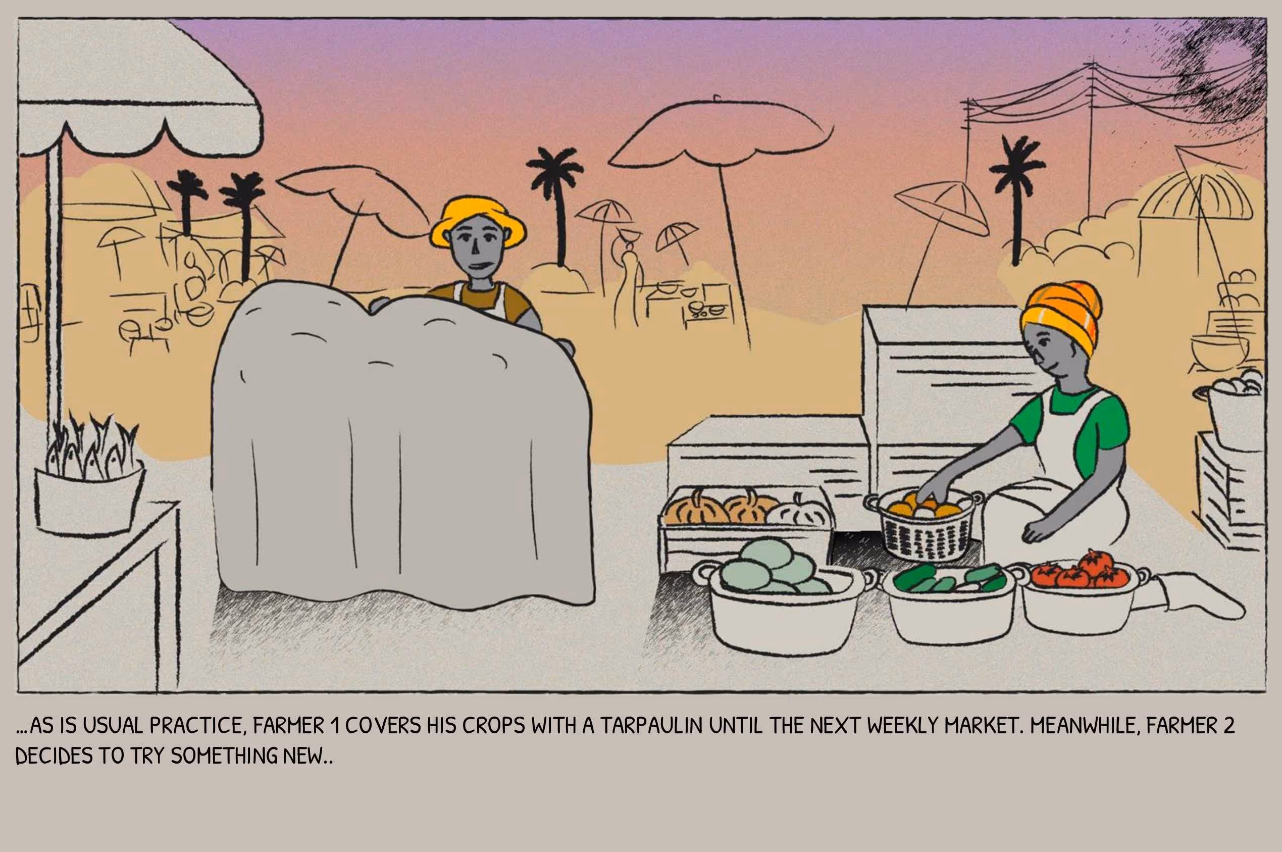 Slide 8
